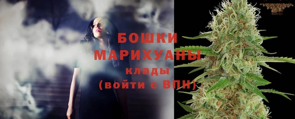 винт Богданович