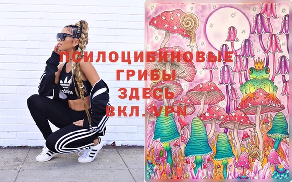 эйфоретик Богородицк