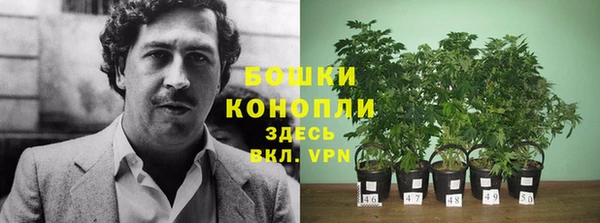 эйфоретик Богородицк
